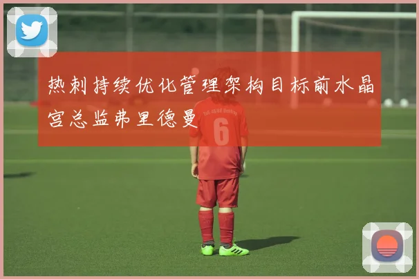 热刺持续优化管理架构目标前水晶宫总监弗里德曼