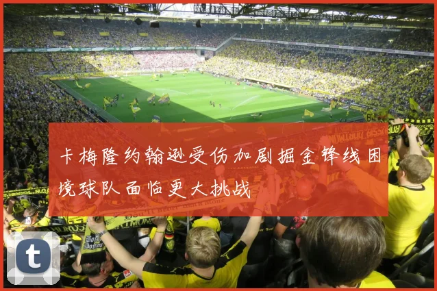 卡梅隆约翰逊受伤加剧掘金锋线困境球队面临更大挑战