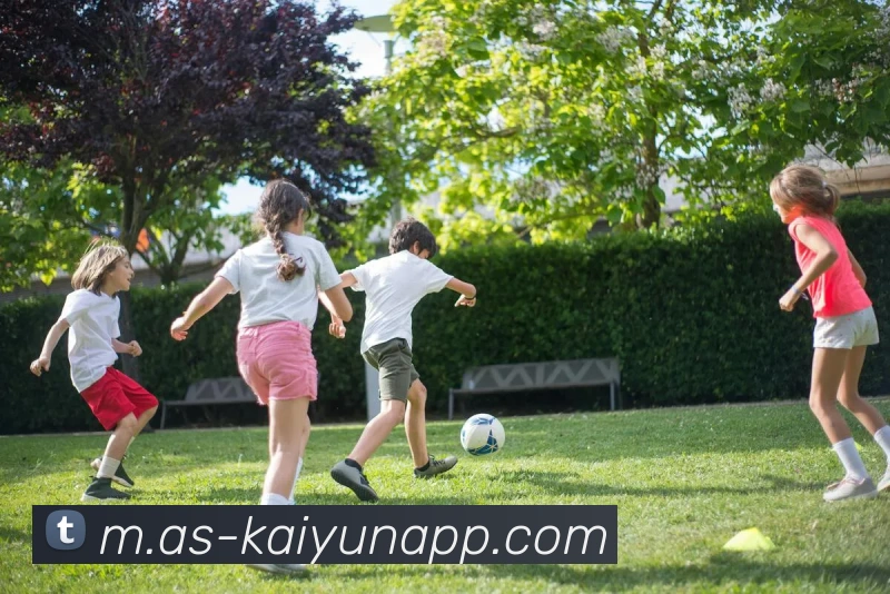 开云体育APP 高清赛事图