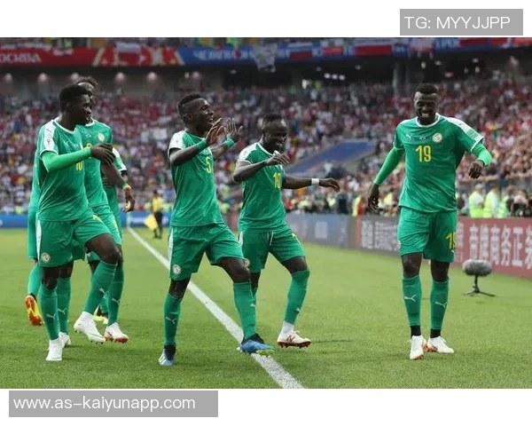 巴西世界杯历史战绩辉煌对阵非洲球队7胜1负的传奇之路